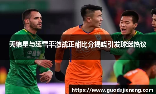 天狼星与延雪平激战正酣比分揭晓引发球迷热议
